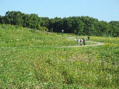 Judy Geisler; Ruth Bennett McDougal Dorrough; Dan Dorrough; IAT; Verona Segment, WI